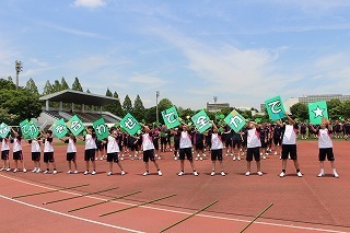 IMG_9717.jpg
