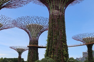 Singapore Malaysia (2).jpg