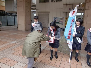 CIMG2695.jpg