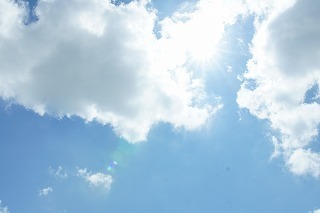 DSC00441.jpg