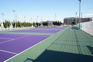 DSC00720.jpg