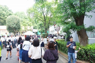 DSC02493 (1)-01.jpg