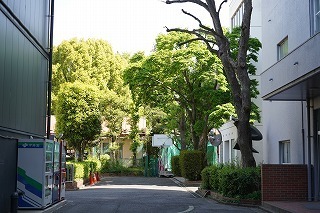 DSC05432.jpg