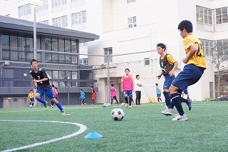 DSC05484 (2)-01.jpg