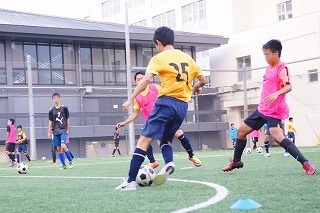 DSC05504 (2)-01.jpg