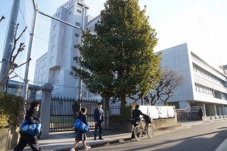 DSC06802-01.jpg