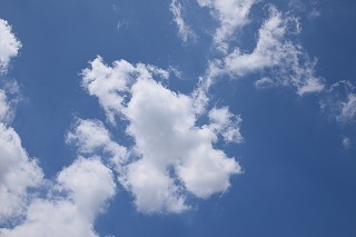 DSC_2912.jpg