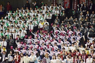 DSC_3465 (1).jpg