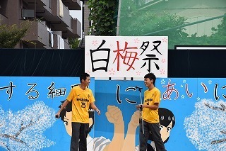 DSC_4464.jpg