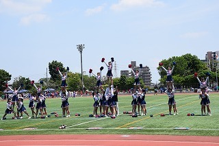 DSC_4541.jpg