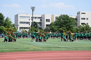 DSC_4833.jpg