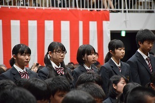 DSC_8597.jpg