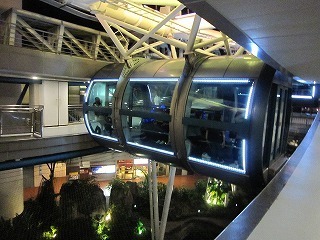 12.シンガポールフライや.jpg