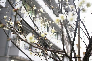 IMG_0128 (1).jpg