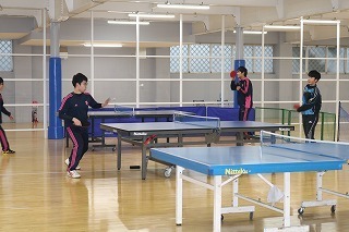IMG_2237.jpg