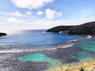 IMG_2454 (4).jpg