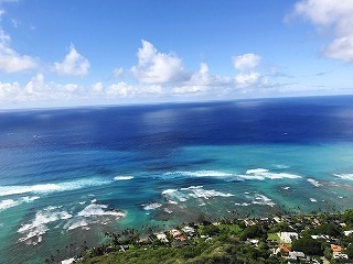 IMG_2540 (1).jpg