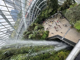 IMG_7381.jpg