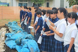 IMG_8332.jpg
