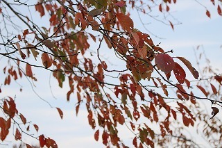 IMG_8886 (1).jpg
