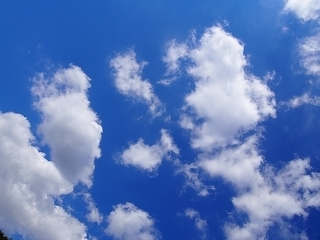 P9121943.jpg
