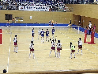 image3 (1).jpg