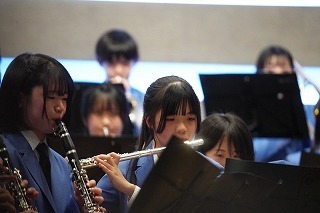 image7.jpg