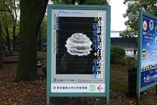 image8.jpg