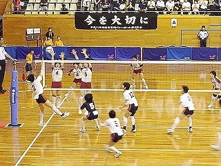 image9 (1).jpg