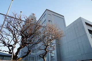 junior high school (1).jpg