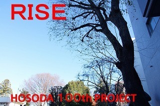 rise20201223.jpg