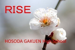 rise siraume.jpg